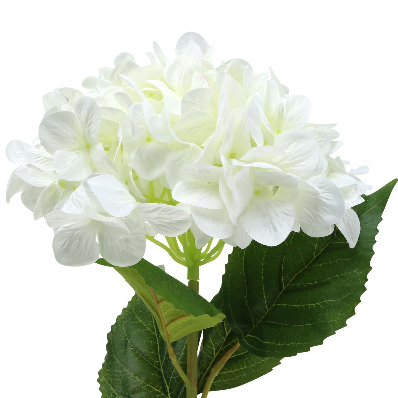 Art Floral Loisirs Creatifs Autres Top Qualite Orchidees Tiges En Verre Avec Couleur Balle De Nombreuses Variantes