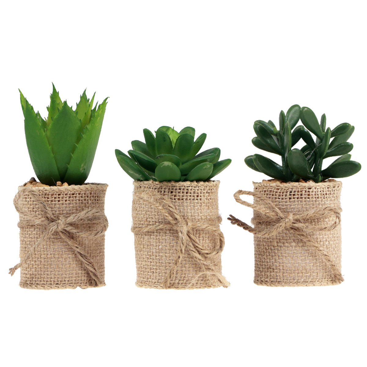 QUOZUO 16 Succulentes Artificielles Mini Colorées – Plantes Grasses Faux Pour Décoration Maison, Bureau, Mariage