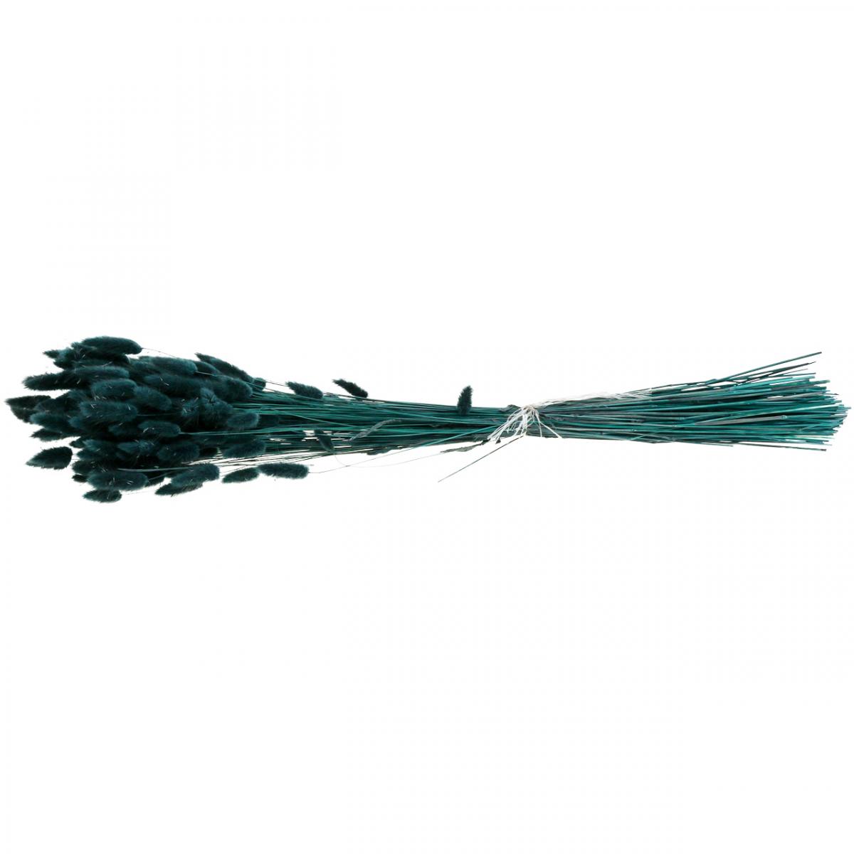 Herbe De La Pampa Séchée Noire - 50 Tiges, 45 Cm - Décoration Maison, Mariage, Vase - Ne Se Fane Pas