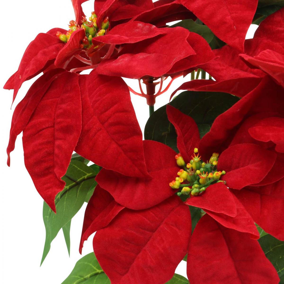 Floristik24.fr Étoile de Noël artificielle Rouge Fleurs artificielles en  pot H53cm - acheter pas cher en ligne