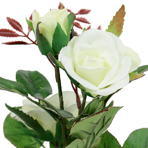 Floristik24.fr Décoration de table rose blanche en pot 23 cm - acheter pas  cher en ligne