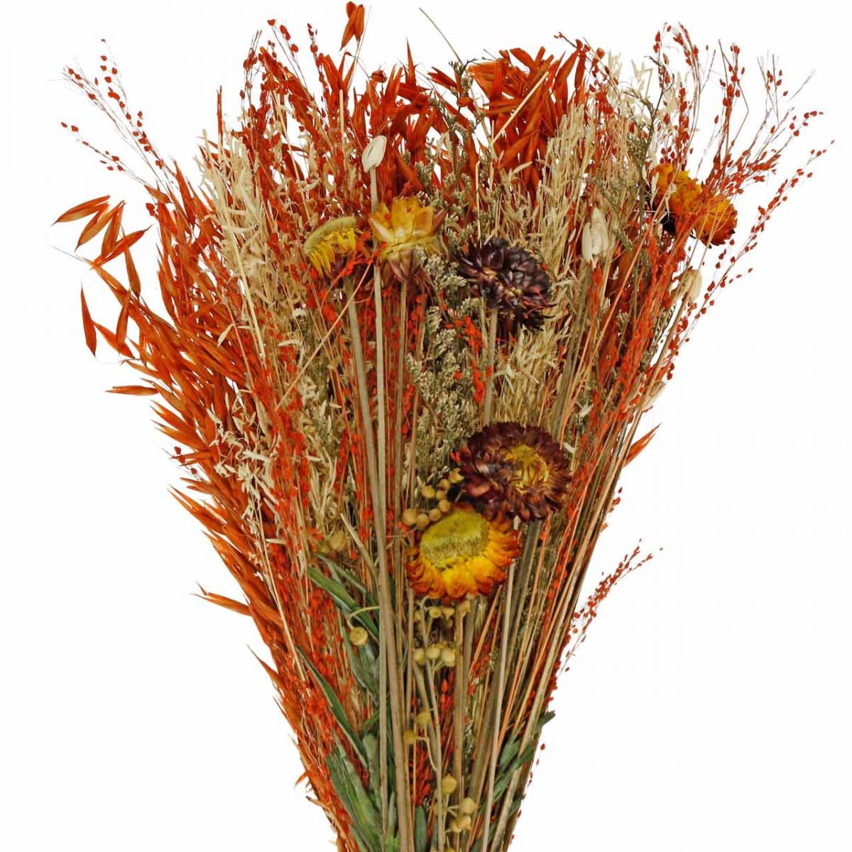 Floristik24.fr Bouquet de fleurs séchées orange mix 42cm - acheter pas cher  en ligne
