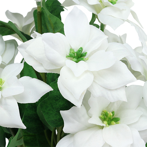 Bouquet de poinsettia blanc L45cm