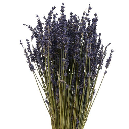 Floristik24 Bouquet de lavande séchée, fleur séchée bleu lavande 38–40 cm 90 g