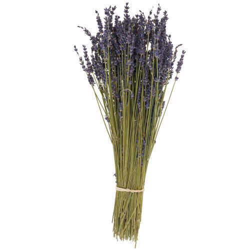 Floristik24 Bouquet de lavande séchée, fleur séchée bleu lavande 38–40 cm 90 g