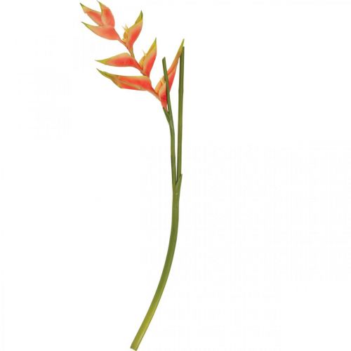 Floristik24 Heliconia artificielle fleurs artificielles rose exotique, vert H103cm