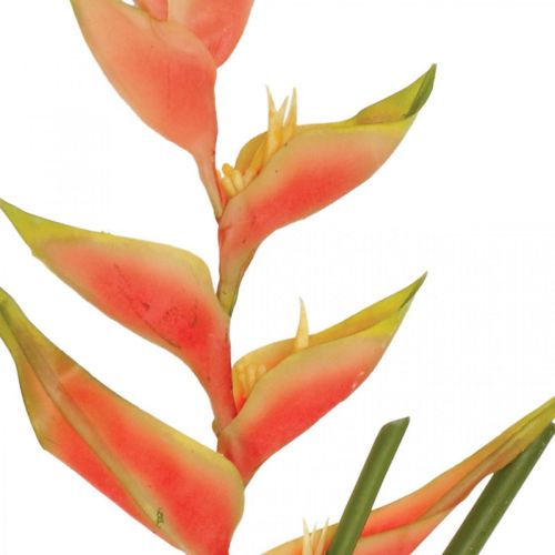 Floristik24.fr Heliconia artificielle fleurs artificielles rose exotique,  vert H103cm - acheter pas cher en ligne