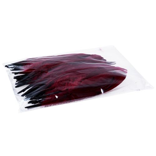 Article Plumes décoratives pour travaux manuels, véritables plumes d'oiseaux, rouge vin, 20g
