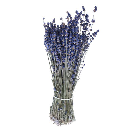 Lavande séchée Bouquet de fleurs séchées Bleu 25cm 75g