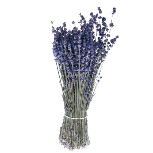 Article Lavande séchée Bouquet de fleurs séchées Bleu 25cm 75g