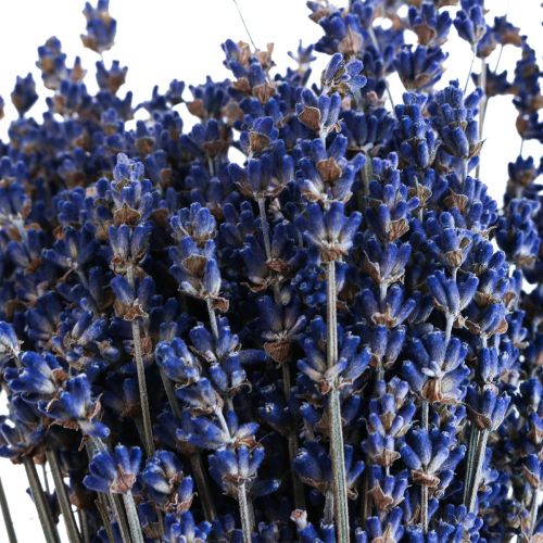 Article Fleurs séchées décoratives de lavande séchée 25cm 350g 5pcs