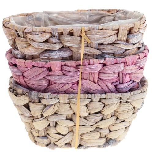 Article Panier à plantes en jonc de mer, jardinière en jacinthe d'eau ovale 20,5 cm 3 pcs