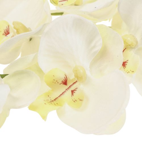 Floristik24 Phalaenopsis Orchidées Artificielles Fleurs Artificielles Blanc 70cm