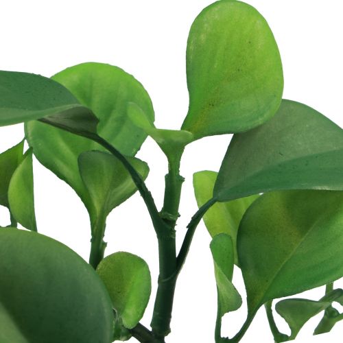 Article Plante verte artificielle succulente vert artificiel H14cm
