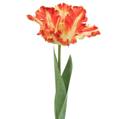 Floristik24 Fleur artificielle perroquet tulipe artificielle tulipe orange 69cm