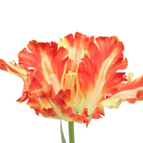 Article Fleur artificielle perroquet tulipe artificielle tulipe orange 69cm