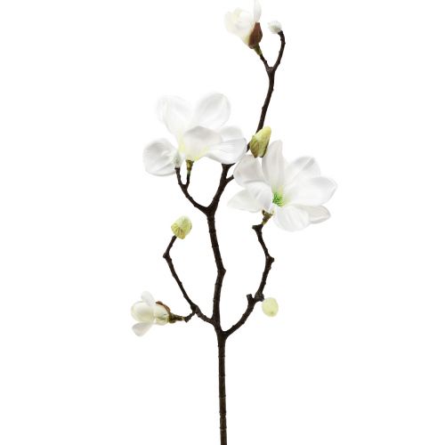 Floristik24 Fleur artificielle branche de magnolia magnolia artificielle blanc 58cm