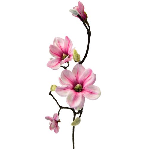 Floristik24 Fleur artificielle branche de magnolia magnolia artificielle rose 59cm