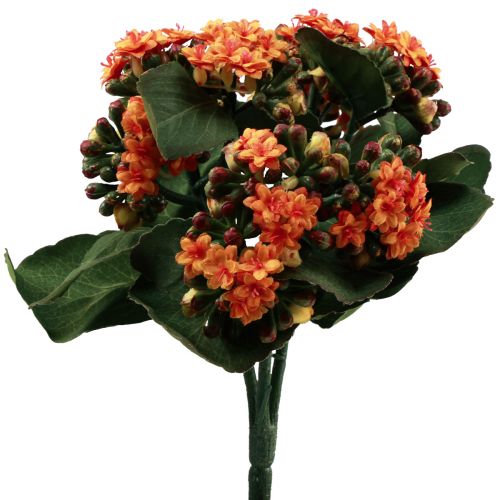 Floristik24 Flaming Käthchen Kalanchoe orange artificiel 24cm