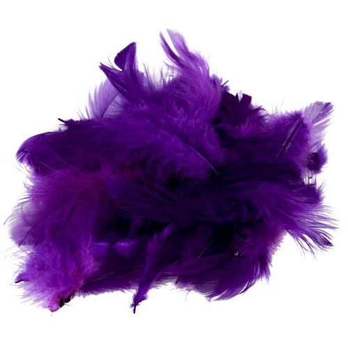 Plumes décoratives petites plumes d&#39;oiseaux véritables décoratives violet 5-10cm 10g