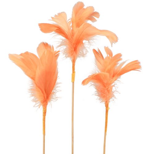 Floristik24 Plumes décoratives plumes d&#39;oiseau orange sur bâton 36cm 12pcs