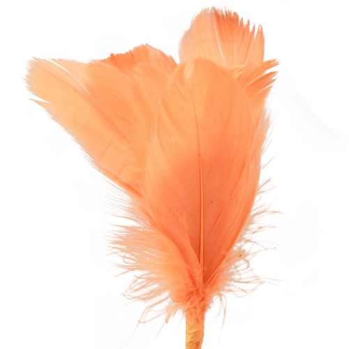 Article Plumes décoratives plumes d&#39;oiseau orange sur bâton 36cm 12pcs