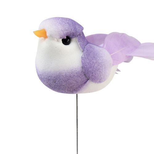 Floristik24 Oiseau en plumes sur fil, oiseau décoratif avec plumes colorées 2,5cm 24 pcs