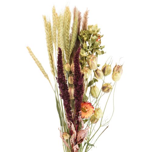 Bouquet de fleurs séchées paille fleurs orange violet 55cm 70g