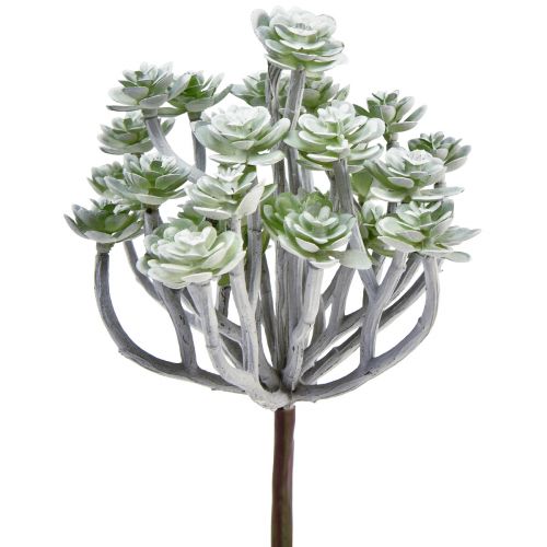 Article Plantes succulentes artificielles Stonecrop Plantes artificielles 16cm 4 pcs