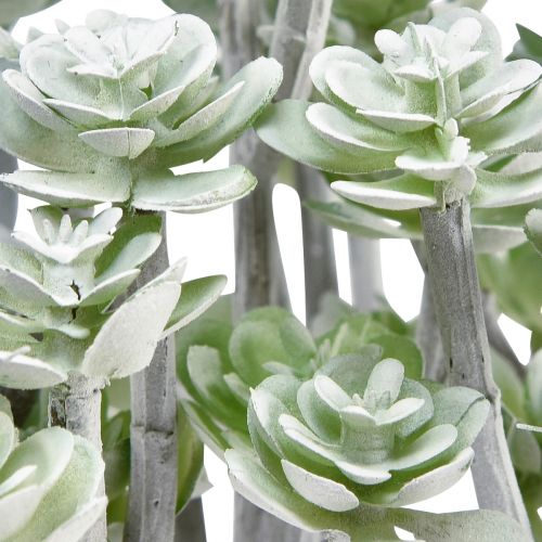 Article Plantes succulentes artificielles Stonecrop Plantes artificielles 16cm 4 pcs