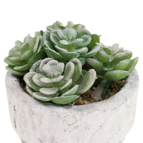 Floristik24 Succulentes artificielles en pot plantes artificielles vertes Ø4cm 12pcs
