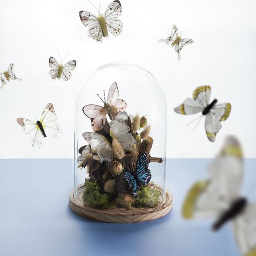 Article Cloche en verre sur plateau en bois, pot en verre, transparent, naturel, Ø17cm, H24cm