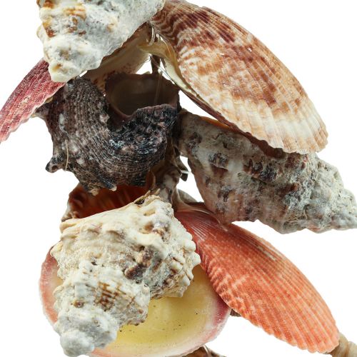 Floristik24 Décoration à suspendre maritime déco coquillages et escargots de mer 82cm