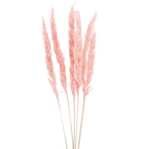 Article Herbe de pampa déco, herbe de pampa séchée herbe de pampa rose 72cm 6pcs