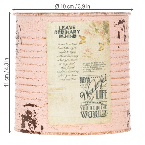 Article Pot de fleurs décoratif en métal saumon, décoration estivale Ø11cm H10.5cm