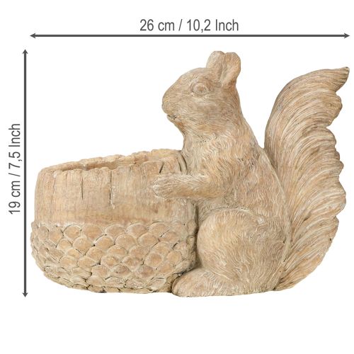 Article Jardinière en pierre reconstituée avec décor d&#39;écureuil 26×14×19cm