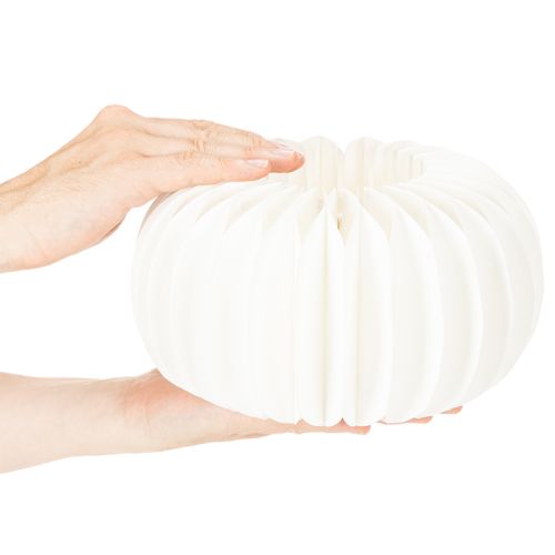 Citrouille en papier nid d'abeille blanche ronde 24 cm pour décorations automnales et compositions florales (4 pièces) | Floristik24.fr