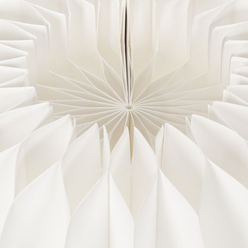 Citrouille en papier nid d'abeille blanche ronde 24 cm pour décorations automnales et compositions florales (4 pièces) | Floristik24.fr