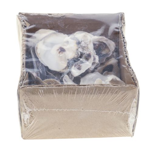 Floristik24 Déco coquilles d&#39;huîtres déco coquilles naturel 2-6cm 250g