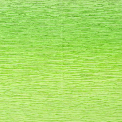 Article Papier crépon fleuriste vert clair 50x250cm