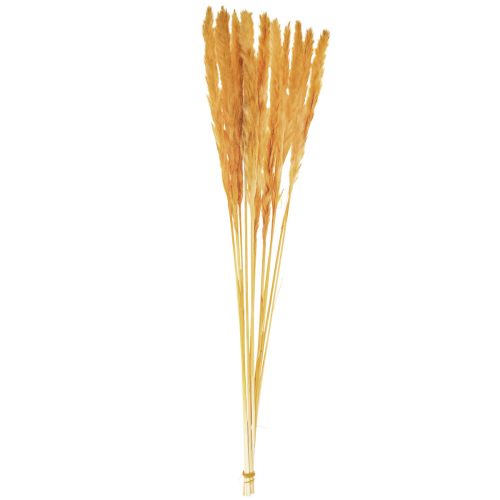 Article Décoration d&#39;herbe de pampa, herbe de pampa séchée herbe de pampa jaune 74cm 10 pièces