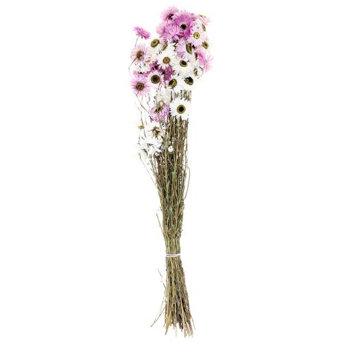 Floristik24 Fleurs séchées Blanc Rose Paille Fleurs 40-45cm 30g