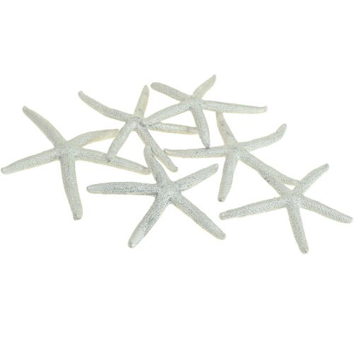 Étoile de mer argent décoration maritime étoile de mer décoration d&#39;été 7,5 cm 10 pcs