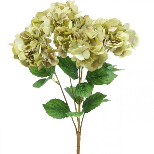Floristik24 Bouquet d'hortensias artificiels vert, marron 5 fleurs 48cm
