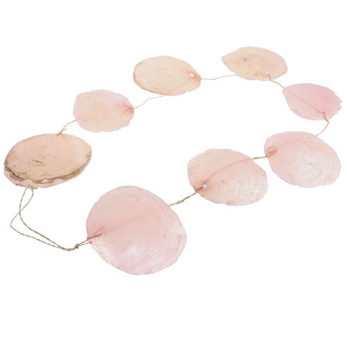 Floristik24 Guirlande de coquillages guirlande de coquillages en nacre Capiz rose L108cm