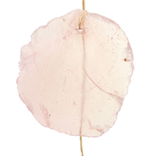 Floristik24 Guirlande de coquillages guirlande de coquillages en nacre Capiz rose L108cm