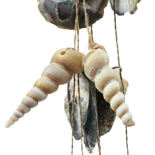 Floristik24 Carillon éolien marin coquille d&#39;escargot décoration coquillages 58cm