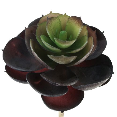 Article Plantes Vertes Artificielles Succulentes Echeveria Ø7cm 12cm 6 pcs
