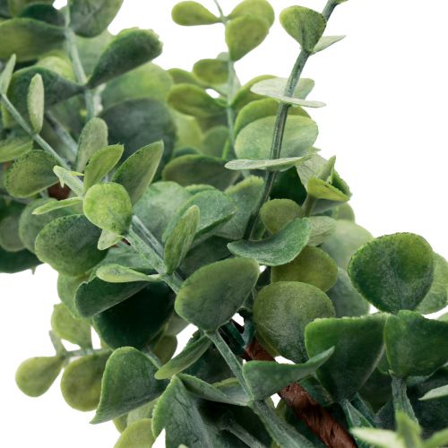 Article Guirlande d&#39;eucalyptus artificiel guirlande décorative vert 150cm