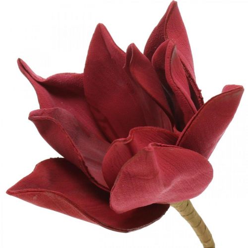 Magnolia fleur artificielle sur tige Ø10cm Mousse 6pcs Différentes couleurs